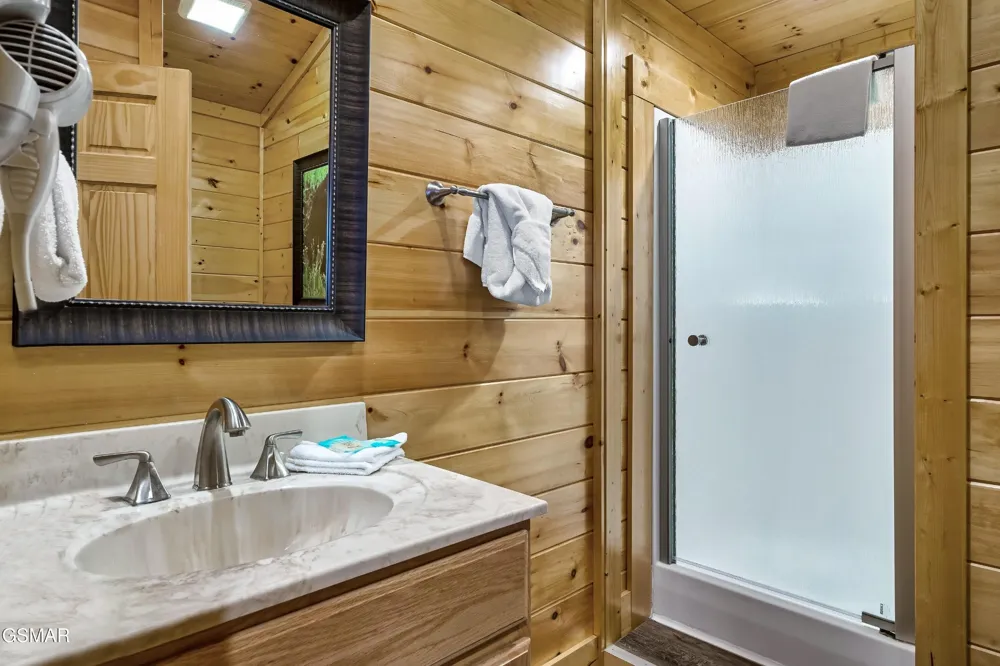 1246 Bird Nest Way Sevierville, TN 37862