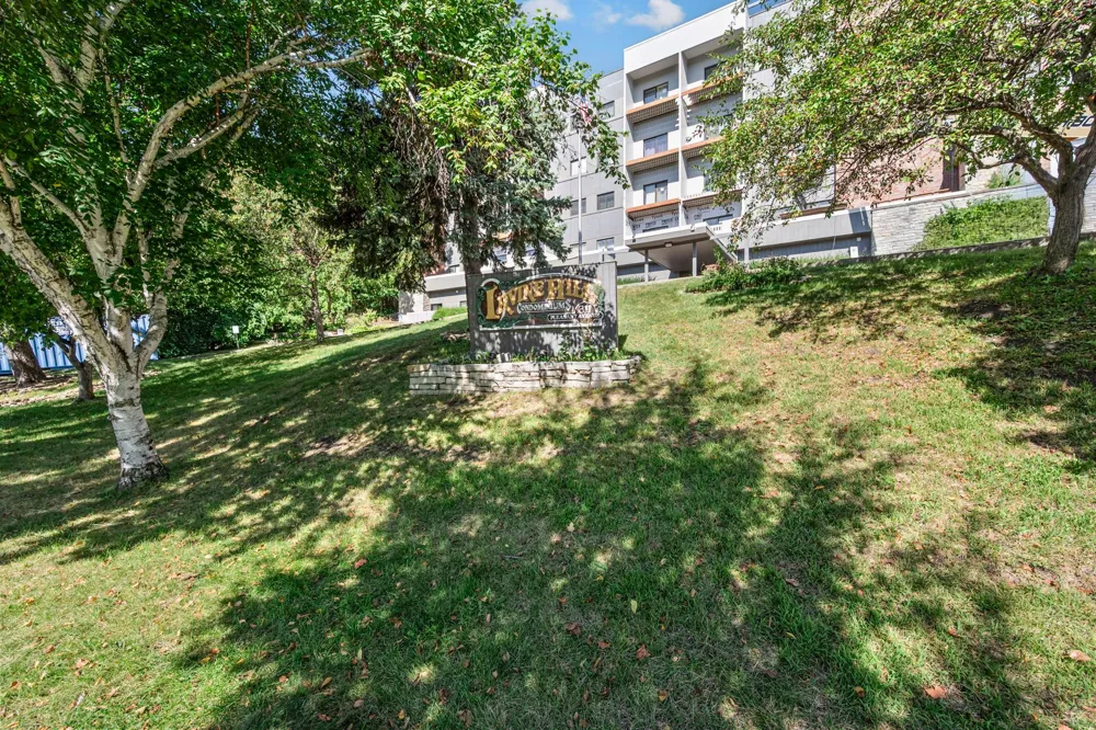 311 Pleasant Avenue #509 Saint Paul, MN 55102