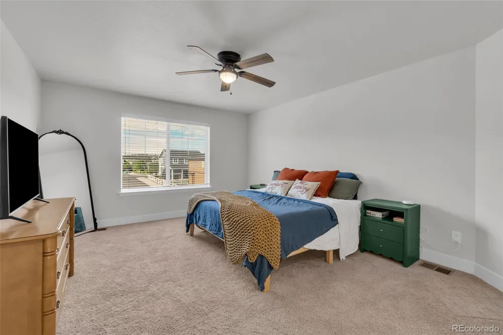 2558 Garganey Drive Castle Rock, CO 80104