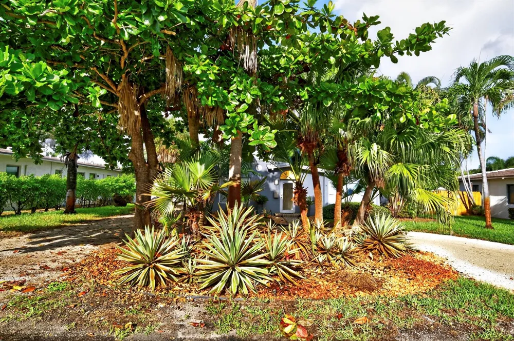 1605 NE 16th Avenue Fort Lauderdale, FL 33305