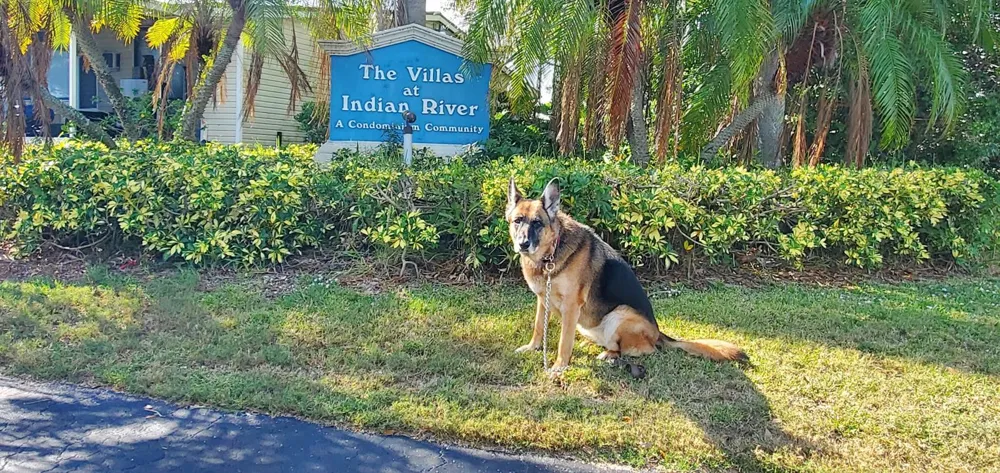 530 7TH PLACE Vero Beach, FL 32962