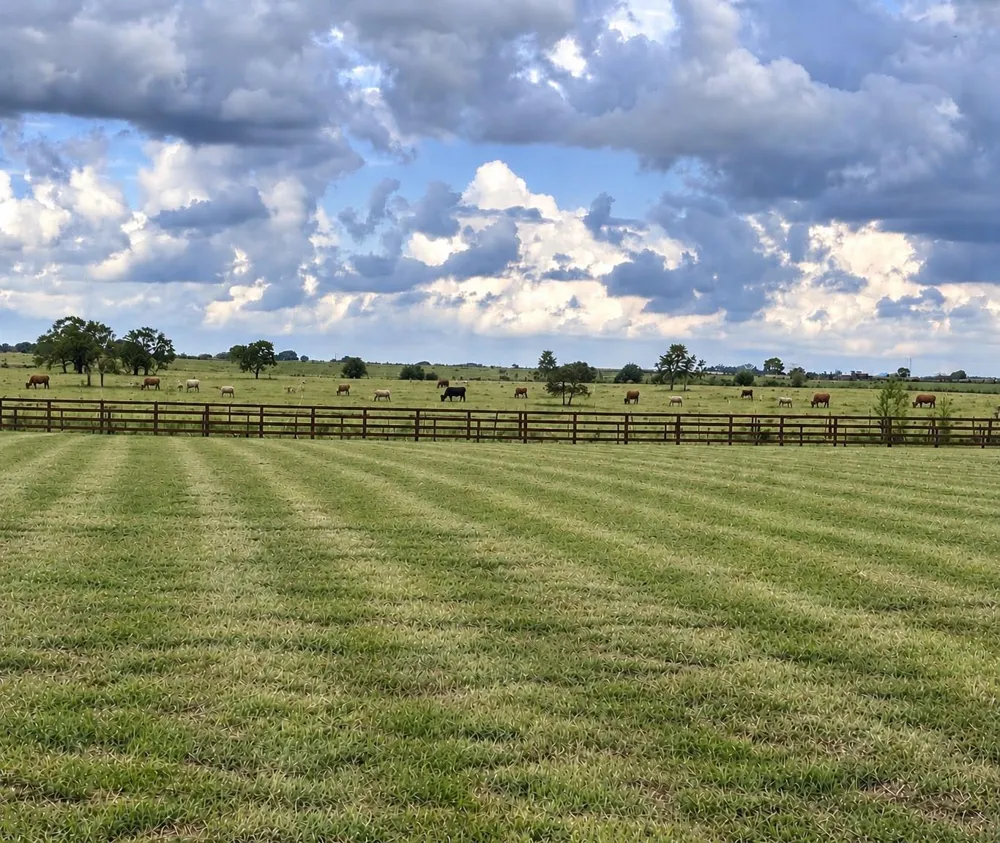 7 Old Columbus N Road Sealy, TX 77474