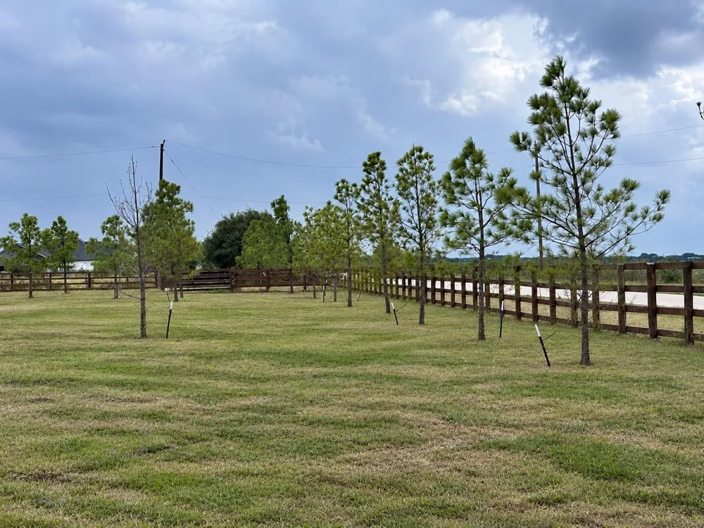 7 Old Columbus N Road Sealy, TX 77474