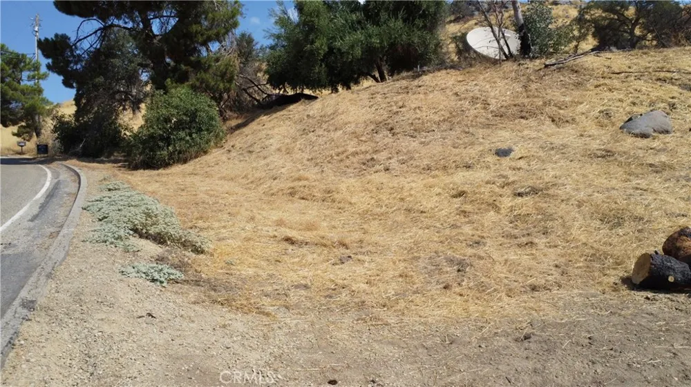 38938 Pepperweed Rd Squaw Valley, CA 93675