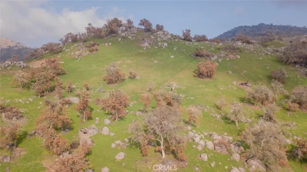 38938 Pepperweed Rd Squaw Valley, CA 93675