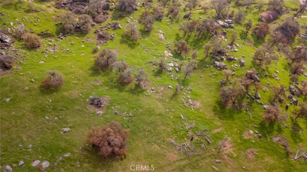 38938 Pepperweed Rd Squaw Valley, CA 93675