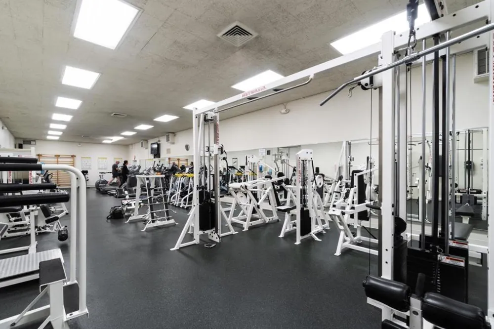 833 Humboldt Street #210 San Mateo, CA 94401