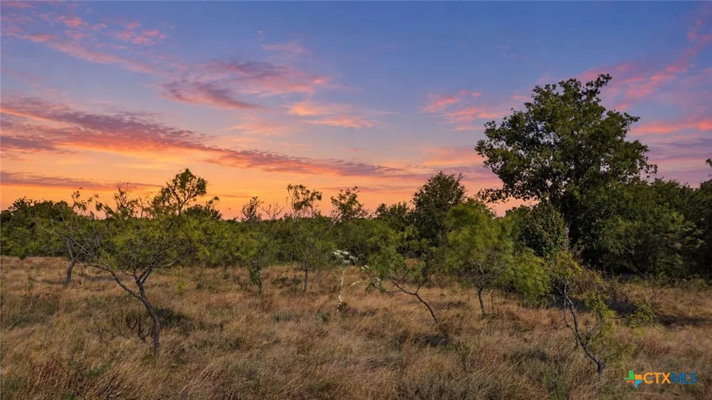46 Twisted Creek Ranch Gustine, TX 76455