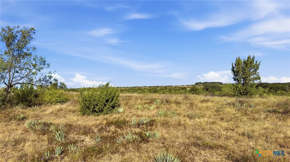 46 Twisted Creek Ranch Gustine, TX 76455