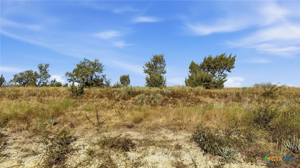 46 Twisted Creek Ranch Gustine, TX 76455
