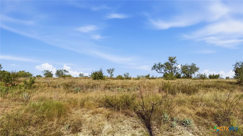 46 Twisted Creek Ranch Gustine, TX 76455