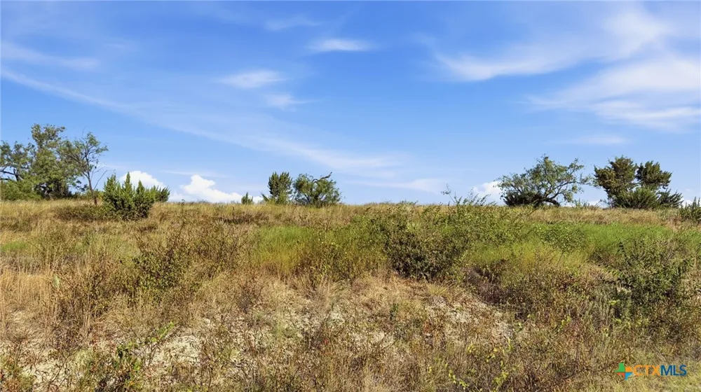 46 Twisted Creek Ranch Gustine, TX 76455