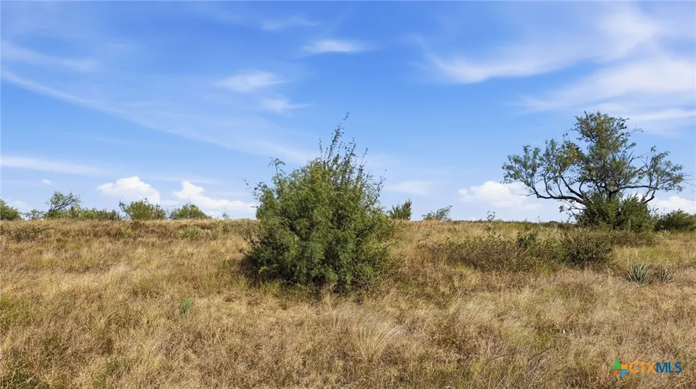 46 Twisted Creek Ranch Gustine, TX 76455