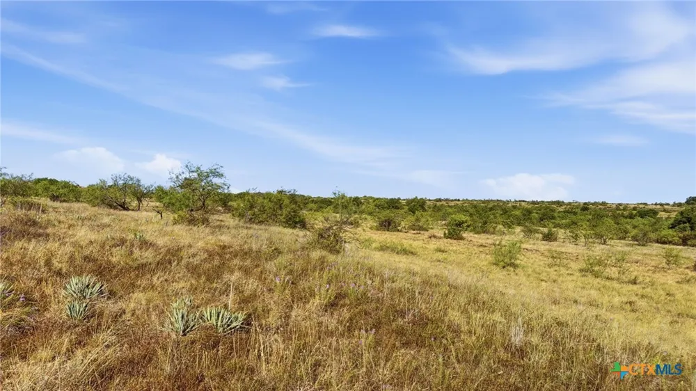 46 Twisted Creek Ranch Gustine, TX 76455