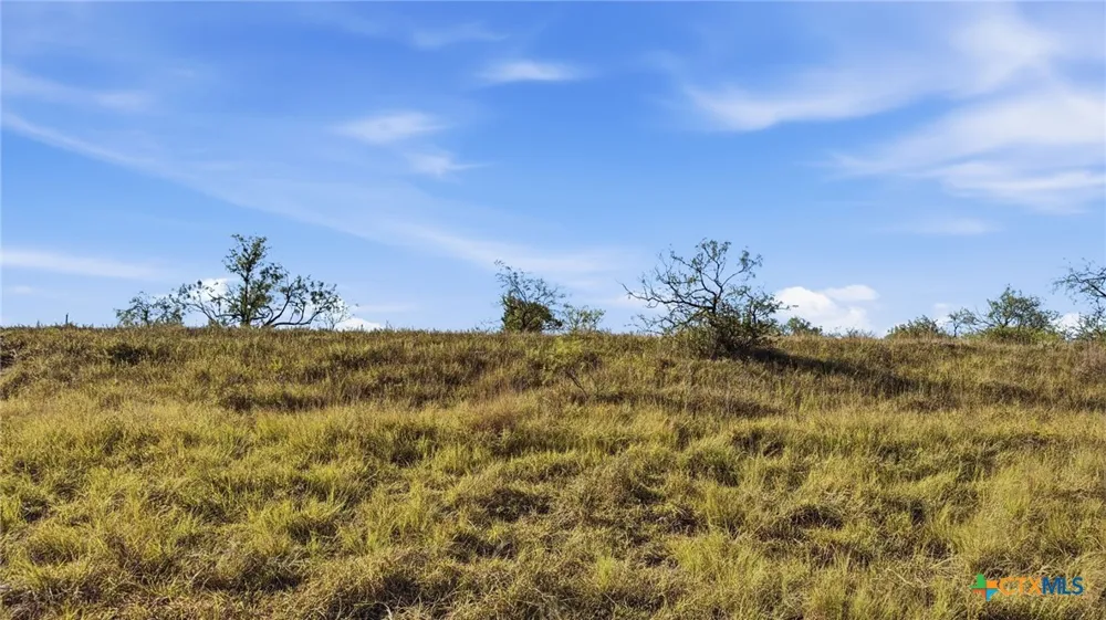 46 Twisted Creek Ranch Gustine, TX 76455