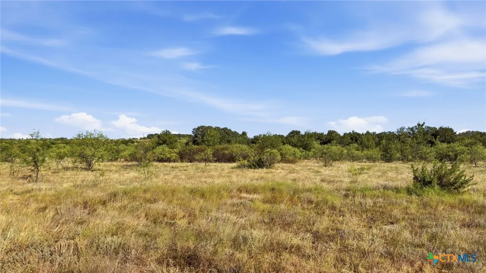 46 Twisted Creek Ranch Gustine, TX 76455