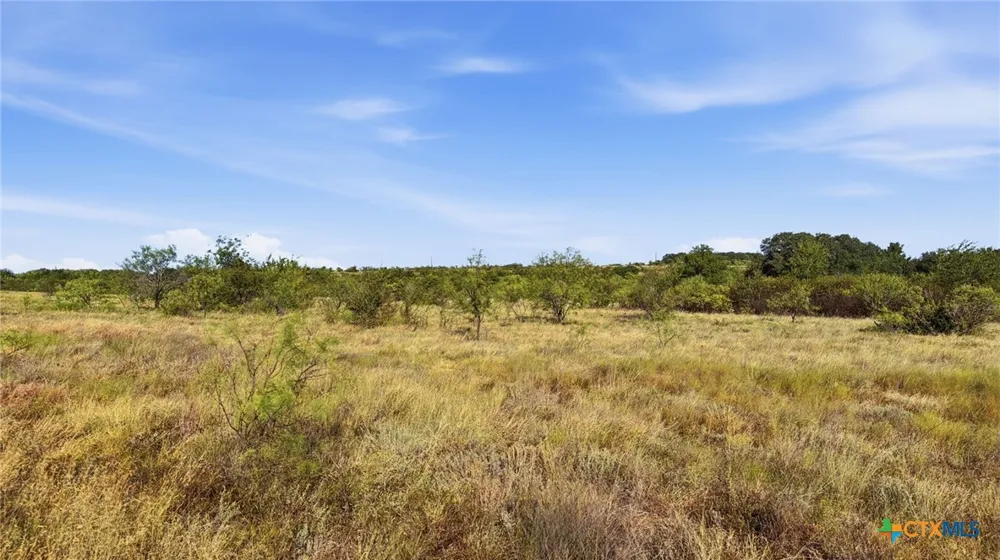 46 Twisted Creek Ranch Gustine, TX 76455