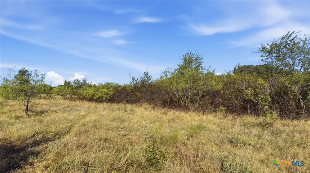 46 Twisted Creek Ranch Gustine, TX 76455