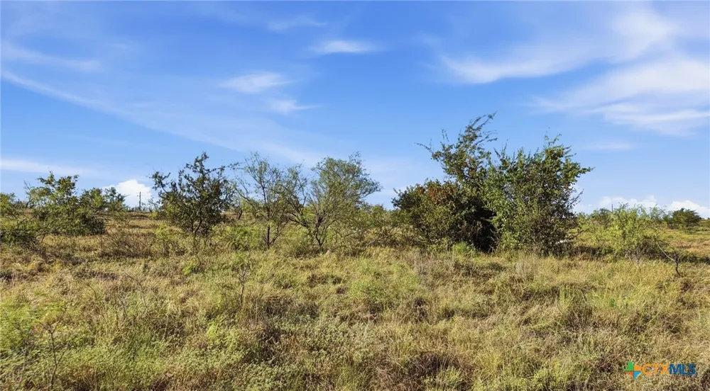 46 Twisted Creek Ranch Gustine, TX 76455