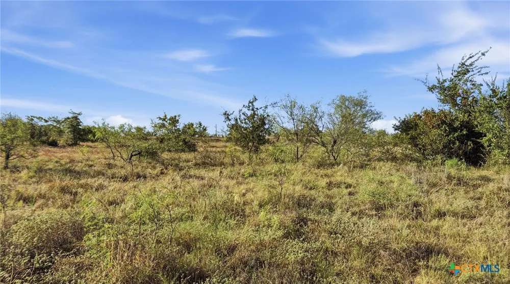 46 Twisted Creek Ranch Gustine, TX 76455