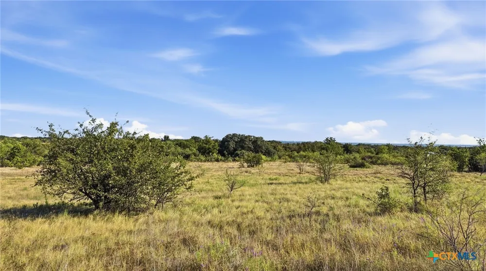 46 Twisted Creek Ranch Gustine, TX 76455