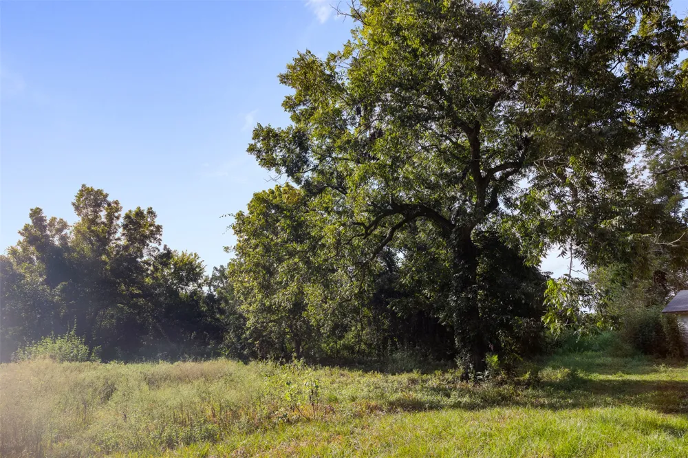 1007 Evans Road Rosenberg, TX 77471