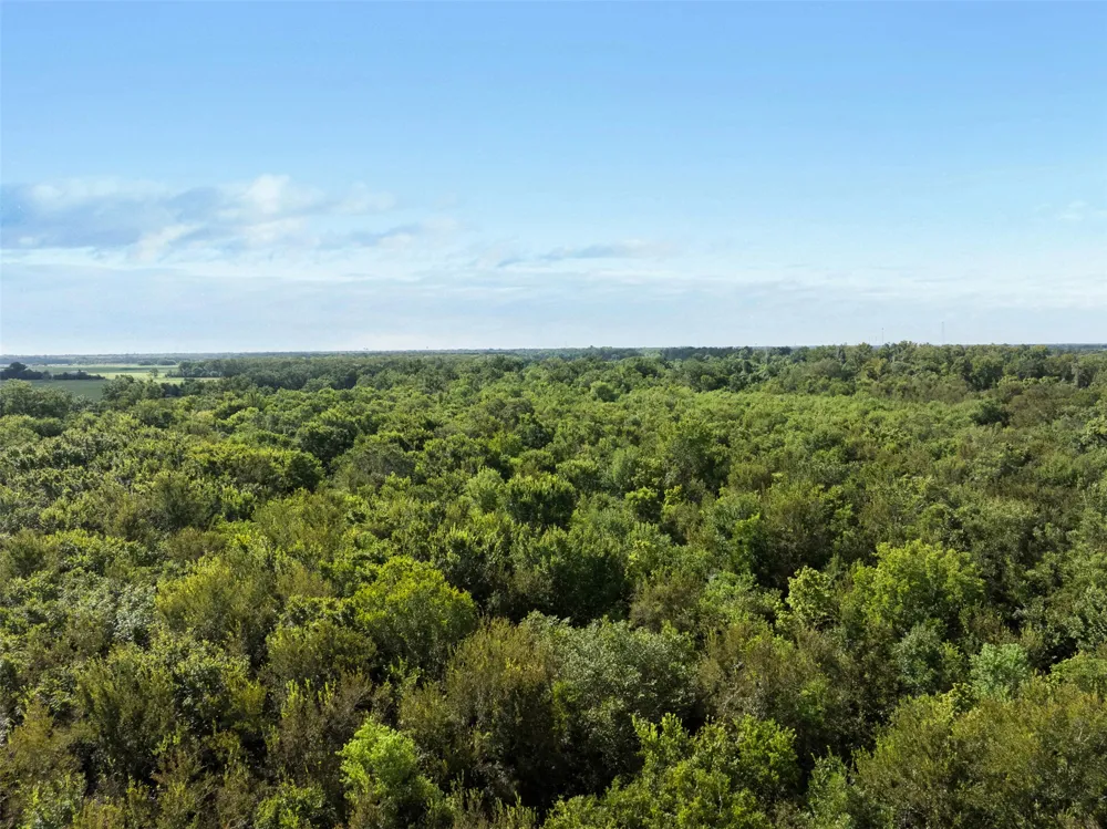 1007 Evans Road Rosenberg, TX 77471