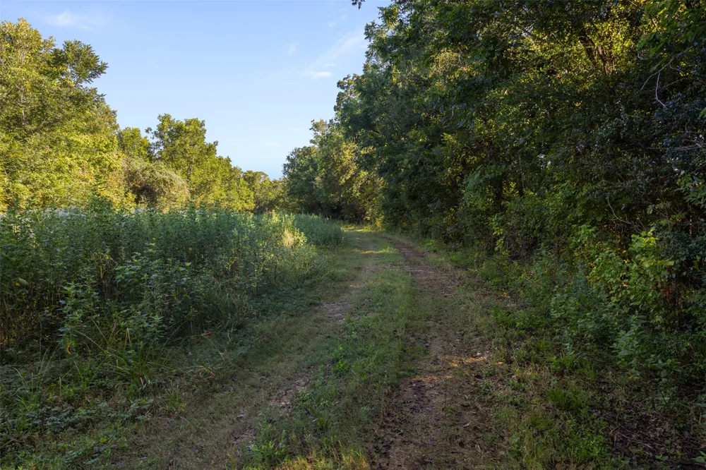 1007 Evans Road Rosenberg, TX 77471