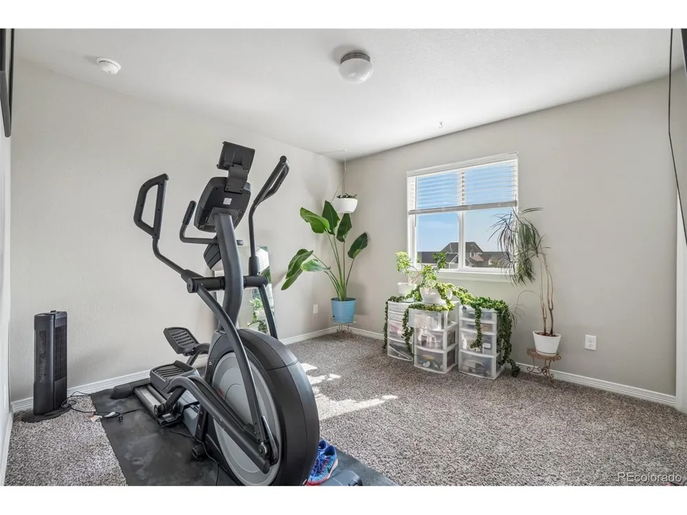 4988 Priors Drive Windsor, CO 80550
