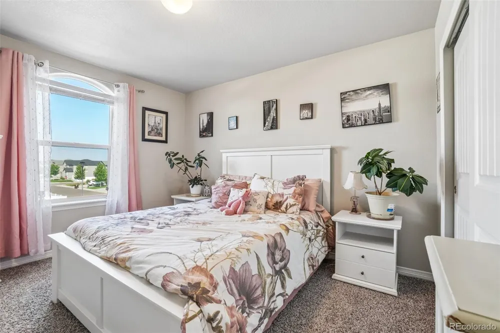 4988 Priors Drive Windsor, CO 80550