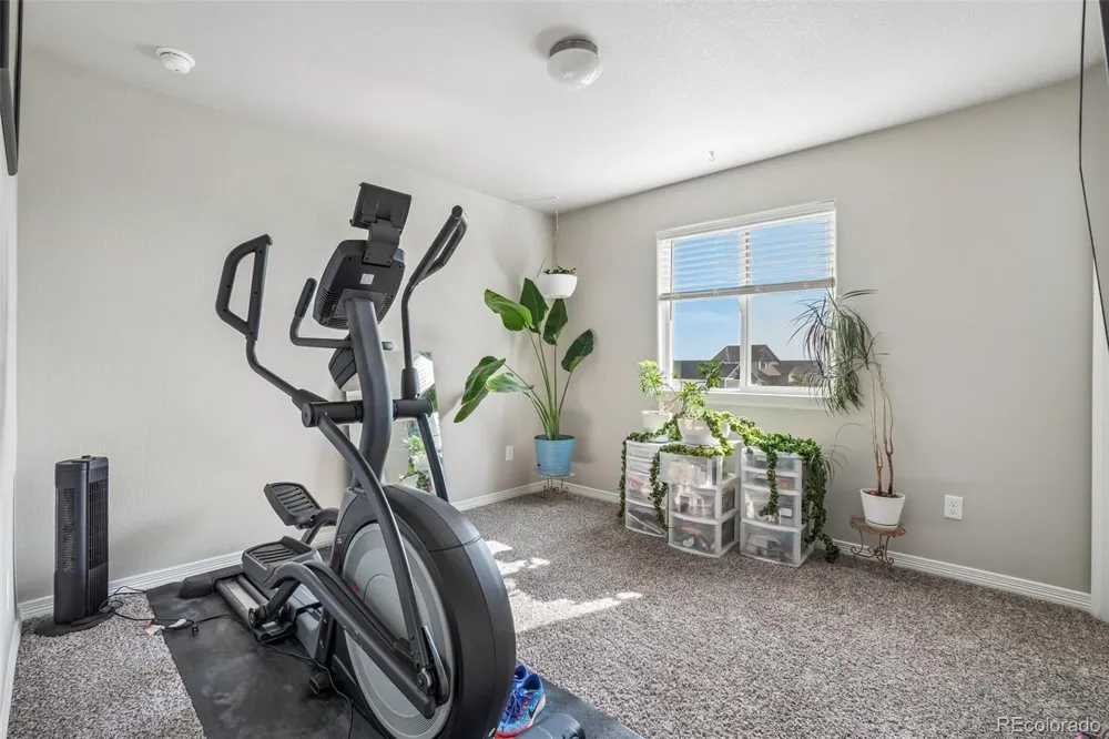 4988 Priors Drive Windsor, CO 80550