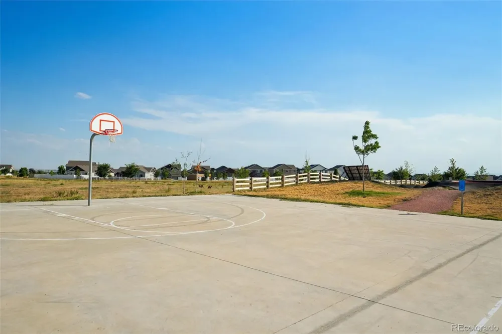4988 Priors Drive Windsor, CO 80550