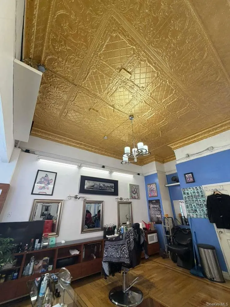 104 Saratoga Avenue Brooklyn, NY 11233