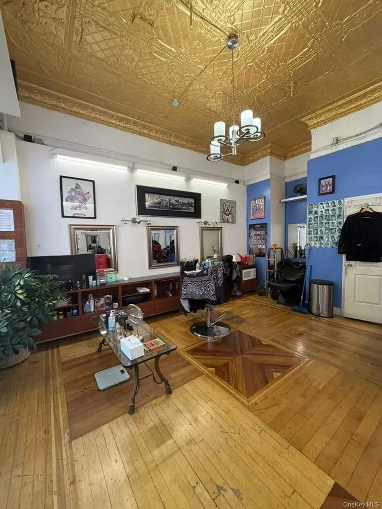 104 Saratoga Avenue Brooklyn, NY 11233