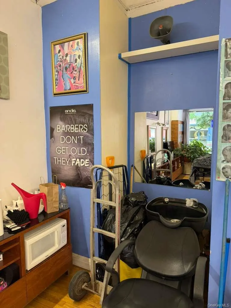 104 Saratoga Avenue Brooklyn, NY 11233