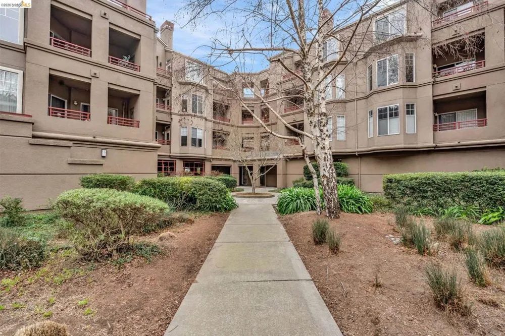 320 Caldecott #217 Oakland, CA 94618