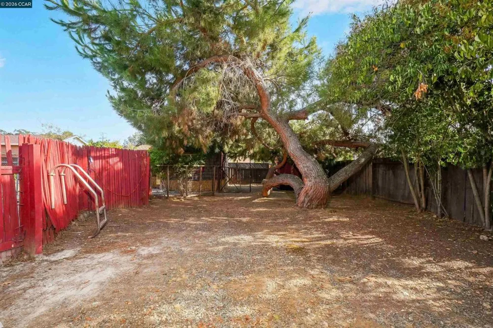 1193 Almendra Court Concord, CA 94518