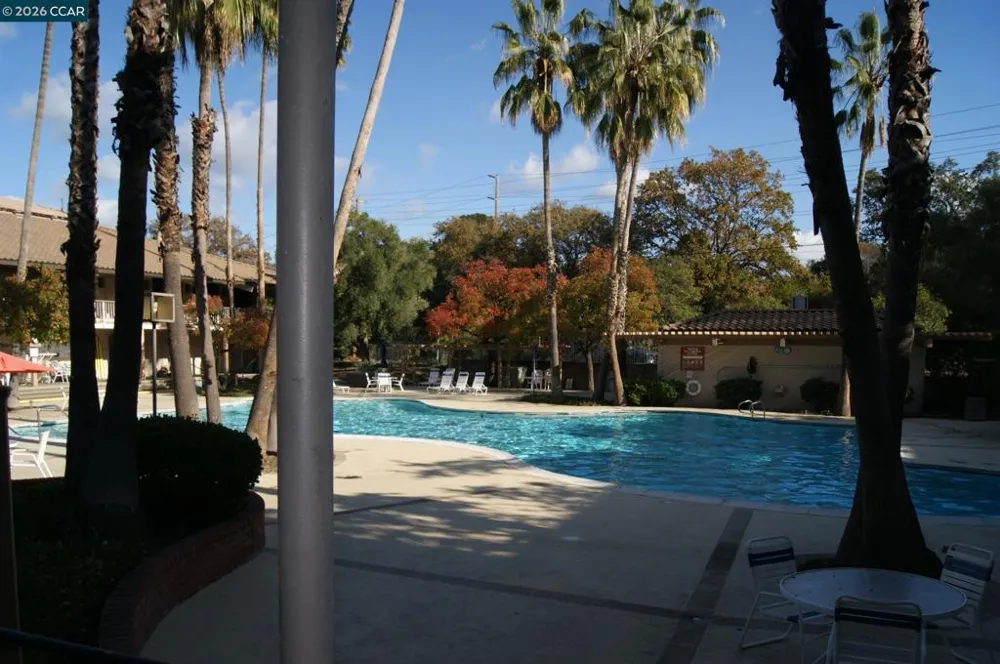 320 Civic Dr #205 Walnut Creek, CA 94596