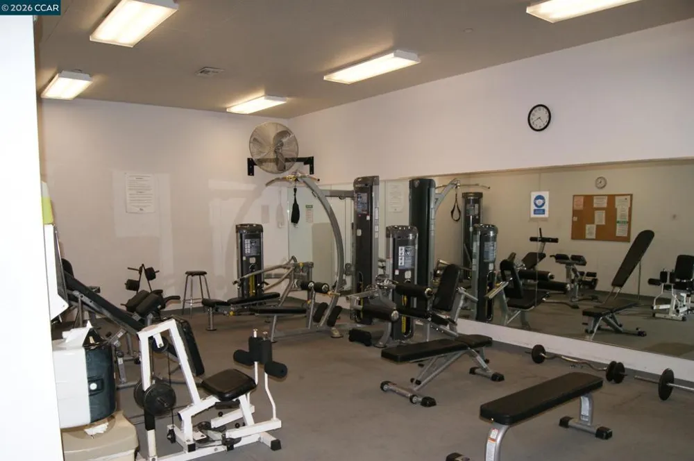 320 Civic Dr #205 Walnut Creek, CA 94596