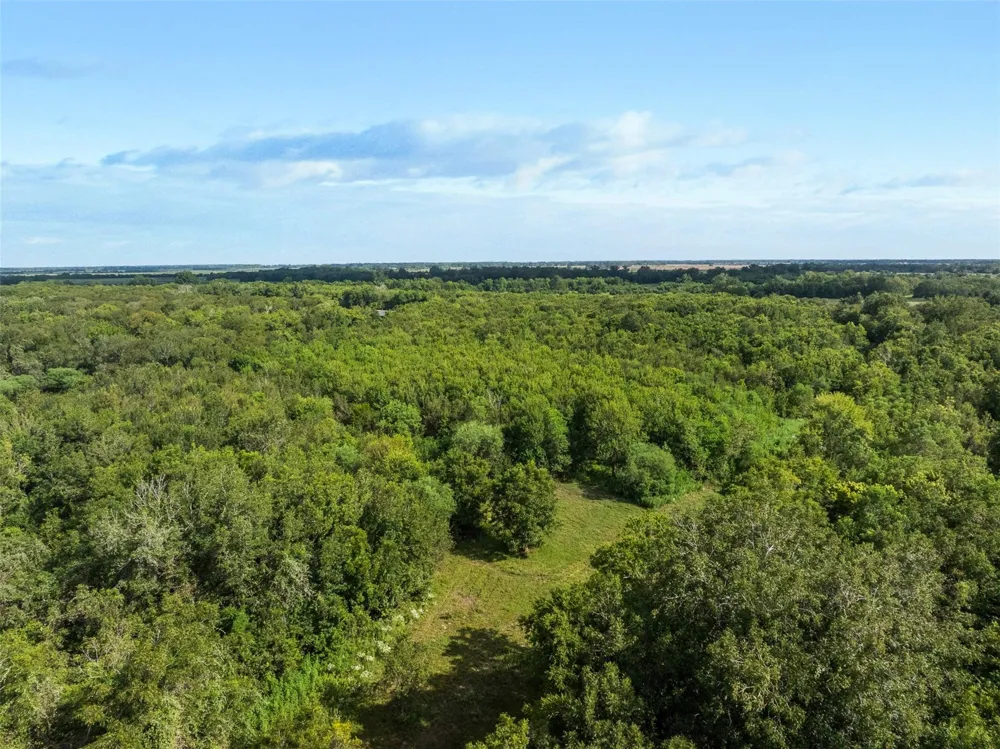 1007 Evans Road Rosenberg, TX 77471