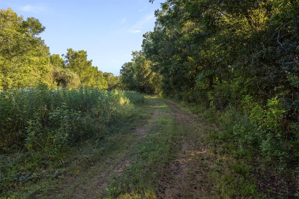 1007 Evans Road Rosenberg, TX 77471