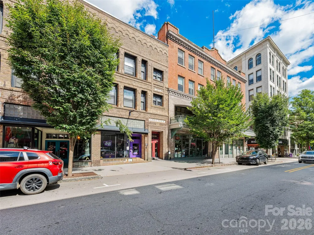 55 1/2 Haywood Street #3B Asheville, NC 28801