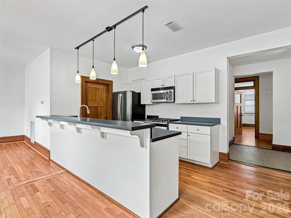 55 1/2 Haywood Street #3B Asheville, NC 28801