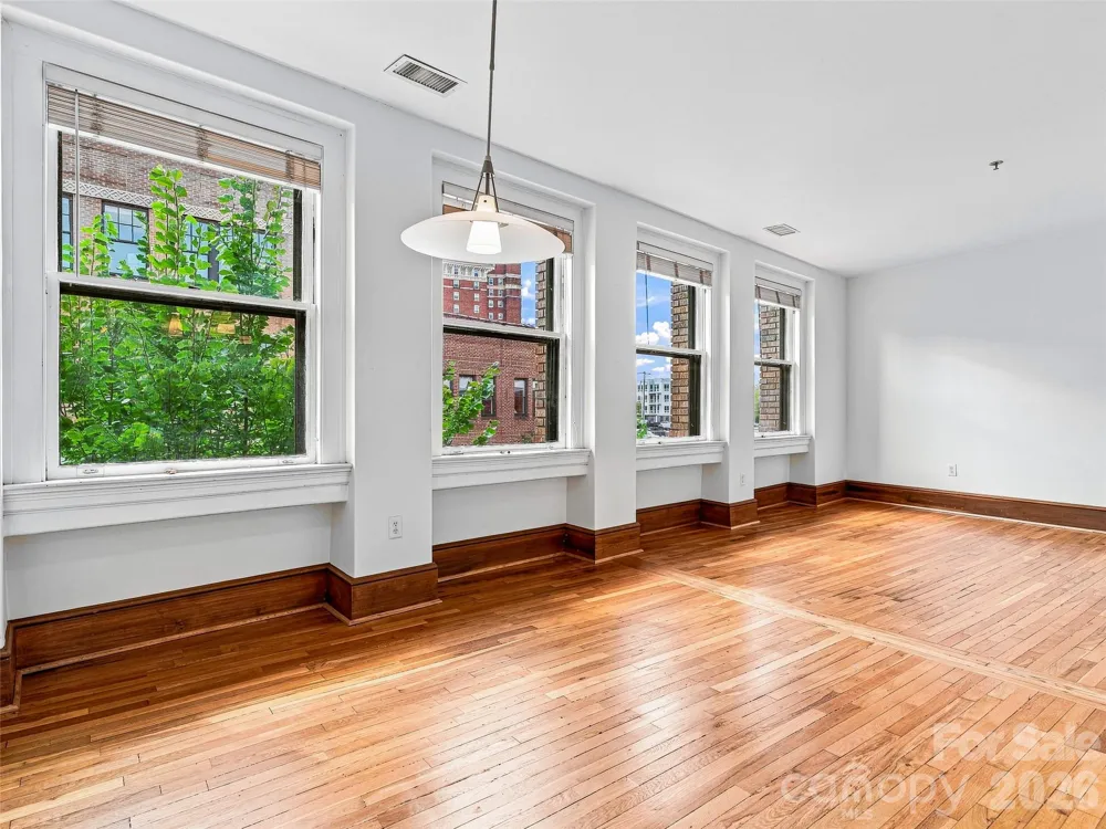 55 1/2 Haywood Street #3B Asheville, NC 28801