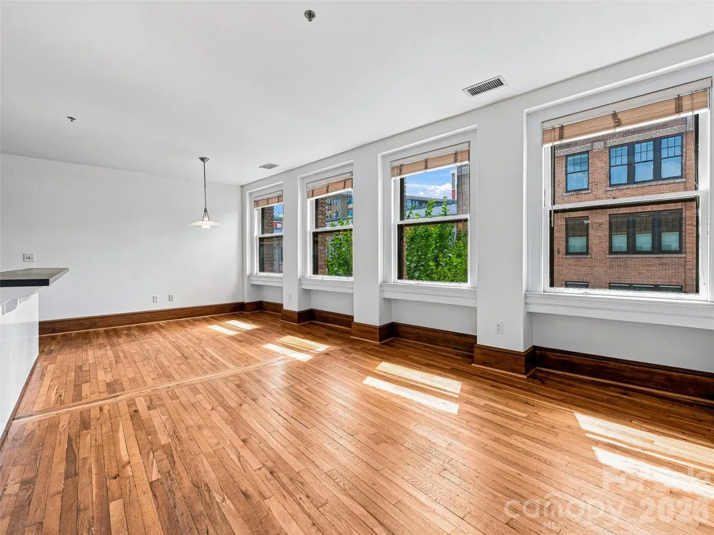 55 1/2 Haywood Street #3B Asheville, NC 28801