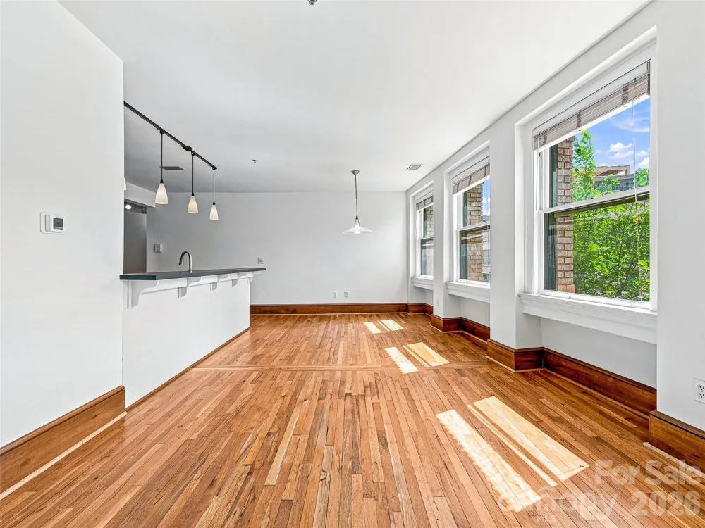 55 1/2 Haywood Street #3B Asheville, NC 28801