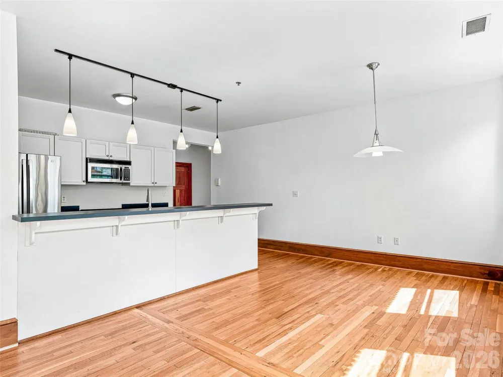 55 1/2 Haywood Street #3B Asheville, NC 28801