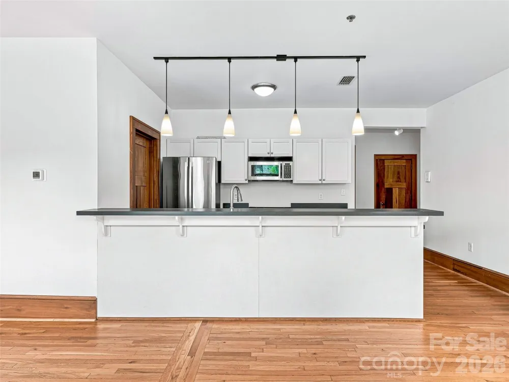 55 1/2 Haywood Street #3B Asheville, NC 28801