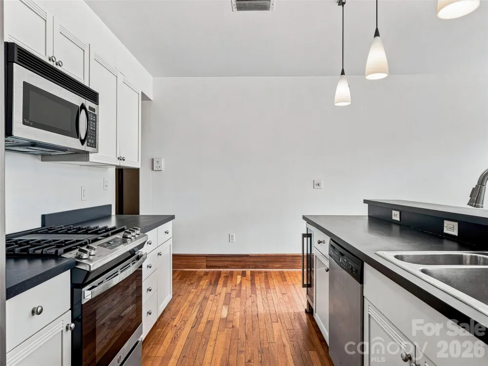 55 1/2 Haywood Street #3B Asheville, NC 28801