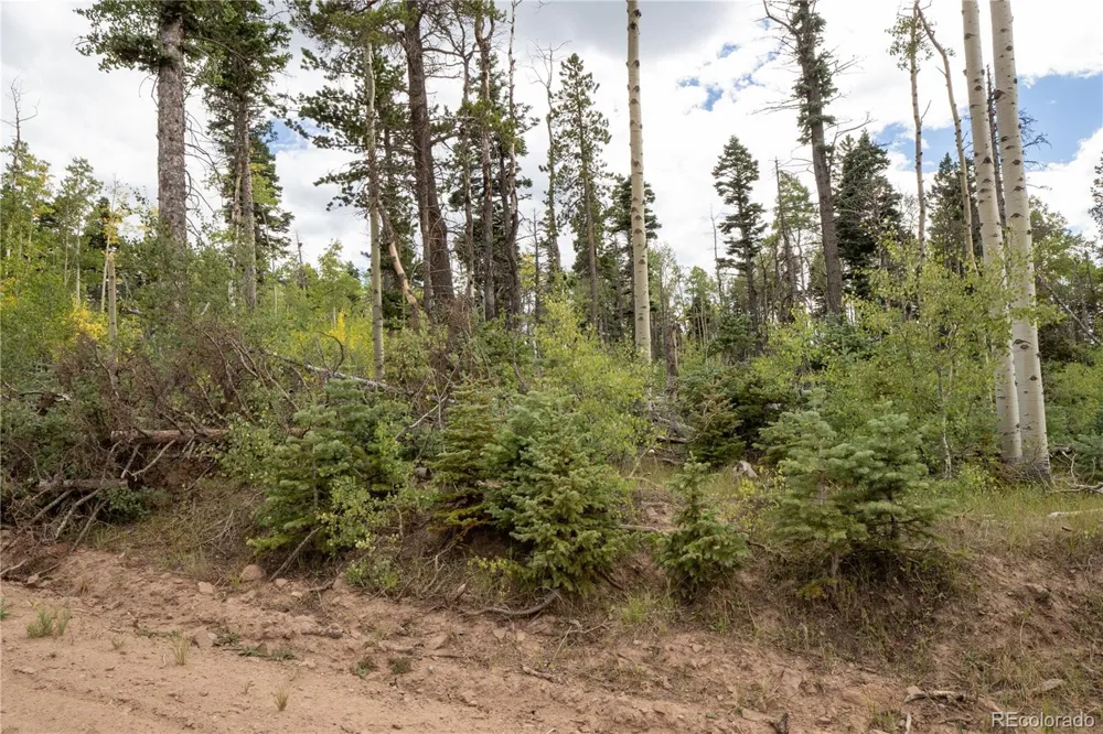 Lot 2614 Petito Drive Fort Garland, CO 81133